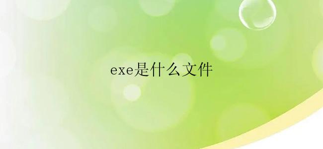 exe是什么文件