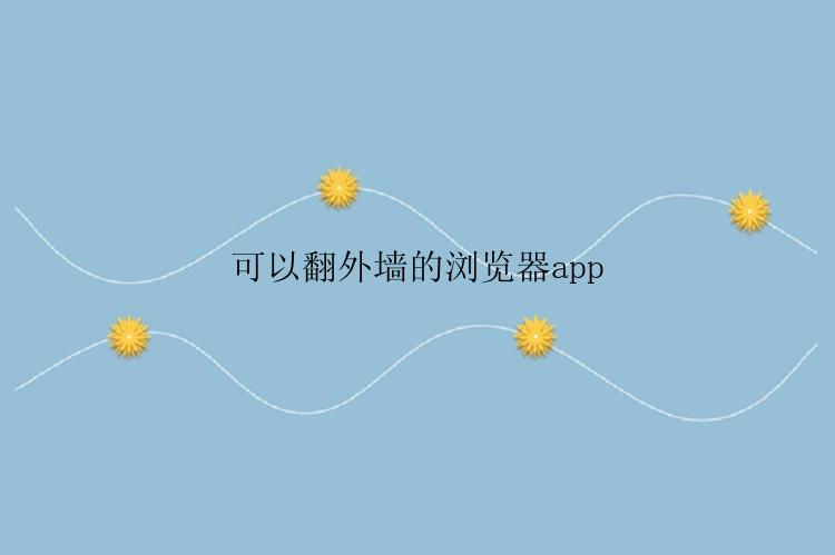 可以翻外墙的浏览器app