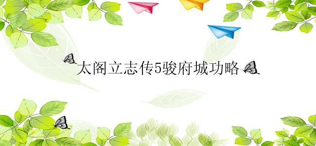 太阁立志传5骏府城功略