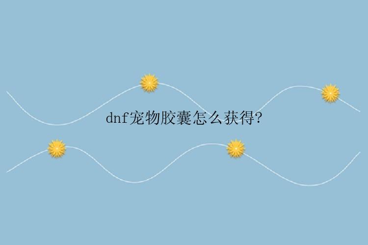 dnf宠物胶囊怎么获得?