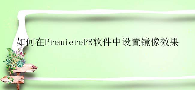 如何在PremierePR软件中设置镜像效果