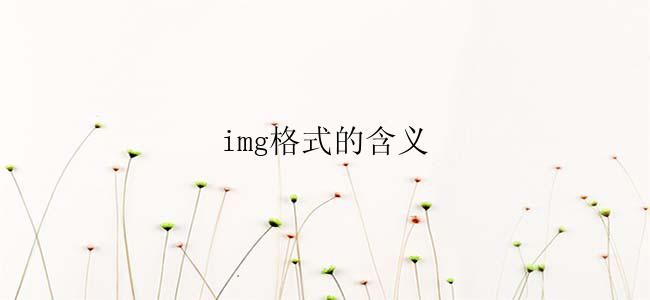 img格式的含义