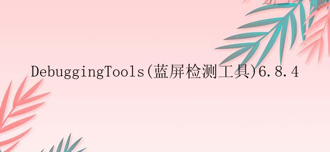 DebuggingTools(蓝屏检测工具)6.8.4