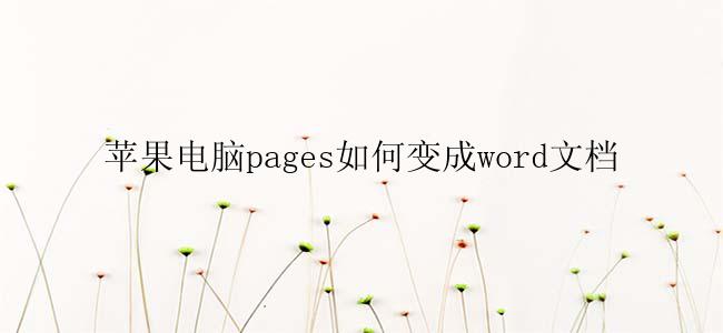 苹果电脑pages如何变成word文档