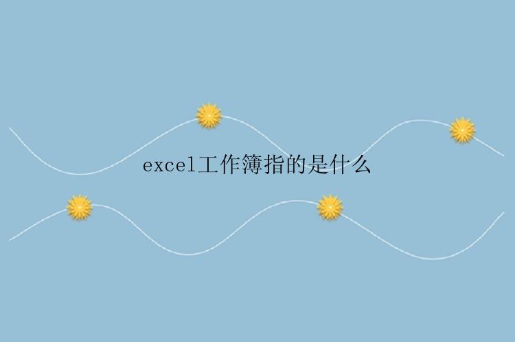 excel工作簿指的是什么