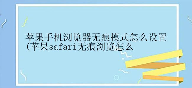 苹果手机浏览器无痕模式怎么设置(苹果safari无痕浏览怎么