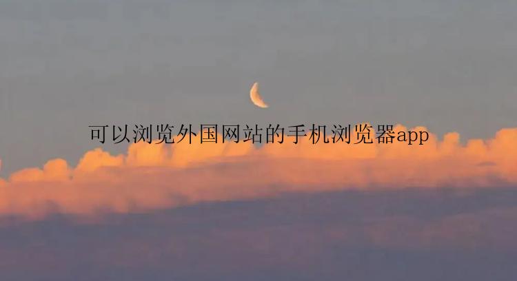 可以浏览外国网站的手机浏览器app