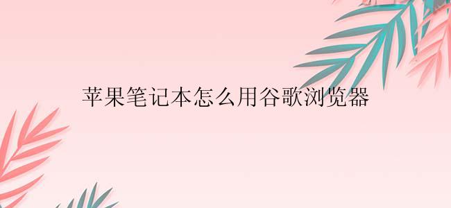 苹果笔记本怎么用谷歌浏览器