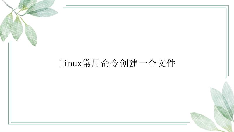 linux常用命令创建一个文件