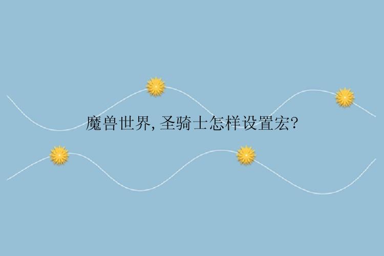 魔兽世界,圣骑士怎样设置宏?
