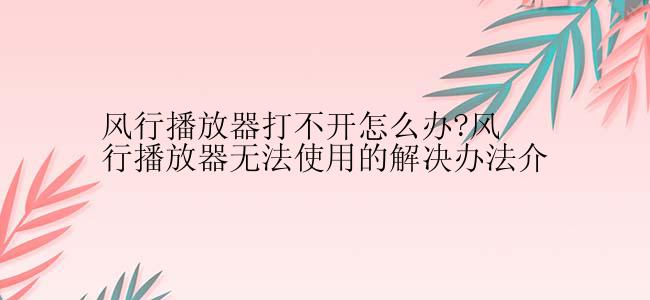 风行播放器打不开怎么办?风行播放器无法使用的解决办法介