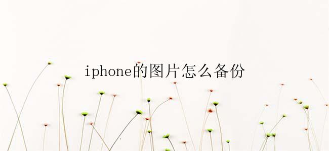 iphone的图片怎么备份