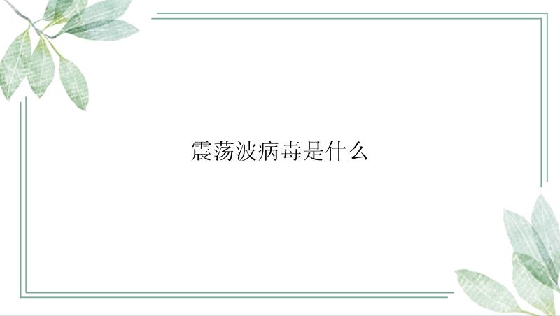 震荡波病毒是什么