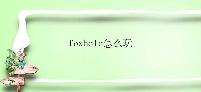 foxhole怎么玩