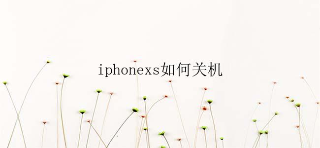 iphonexs如何关机