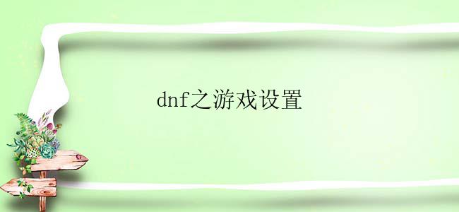 dnf之游戏设置