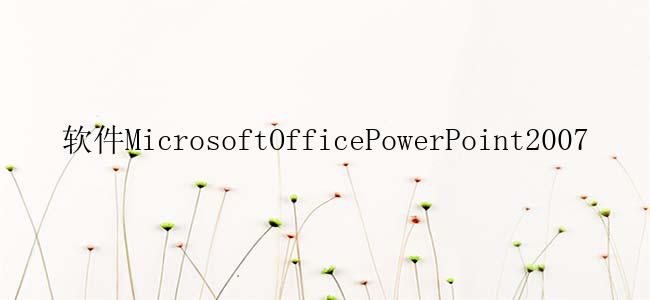 软件MicrosoftOfficePowerPoint2007