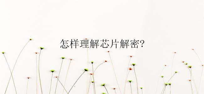 怎样理解芯片解密?