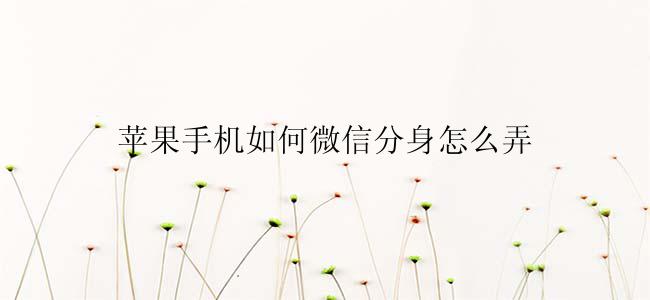 苹果手机如何微信分身怎么弄