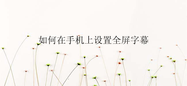 如何在手机上设置全屏字幕