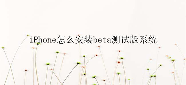 iPhone怎么安装beta测试版系统