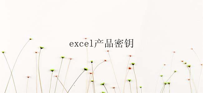 excel产品密钥