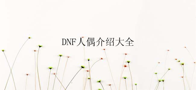 DNF人偶介绍大全