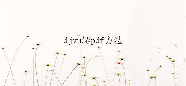 djvu怎么转pdf？