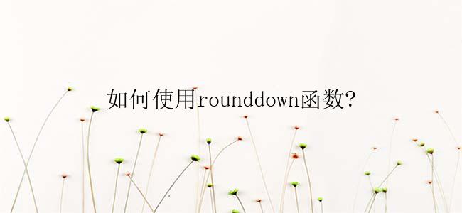 如何使用rounddown函数?