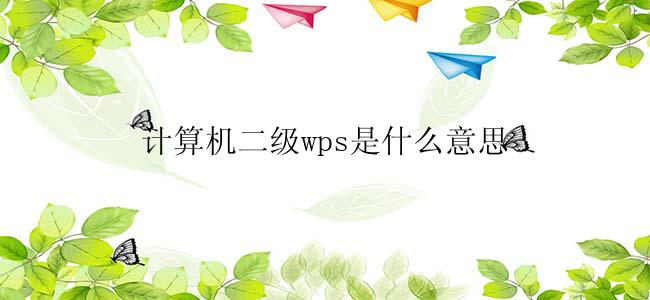 计算机二级wps是什么意思