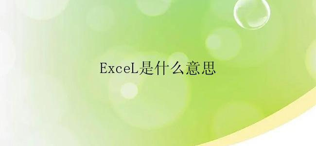 ExceL是什么意思