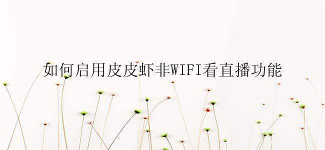 如何启用皮皮虾非WIFI看直播功能