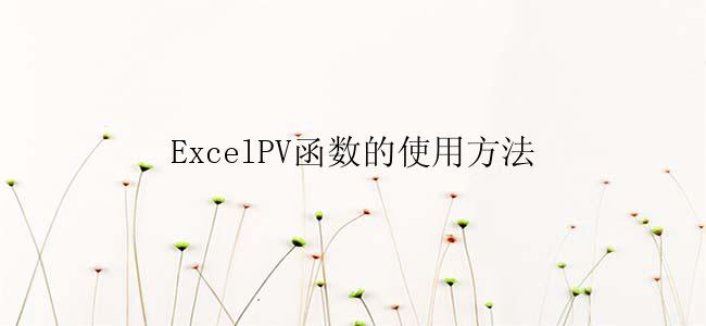 ExcelPV函数的使用方法
