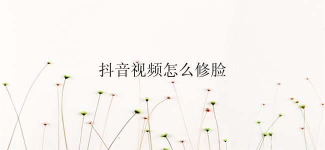 抖音视频怎么修脸？