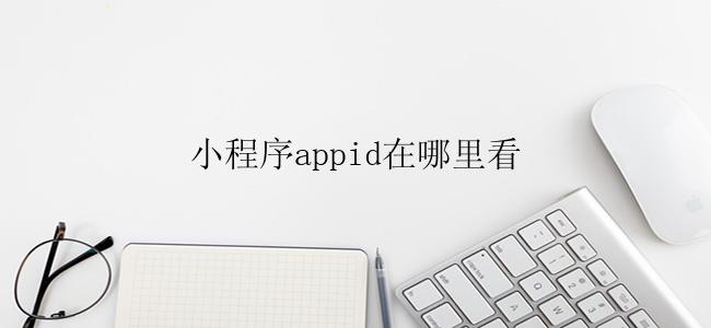 小程序appid在哪里看？