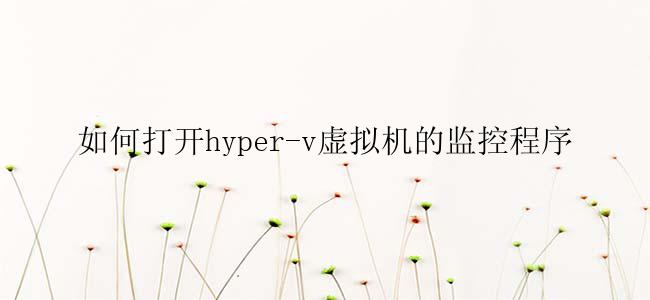 如何打开hyper-v虚拟机的监控程序
