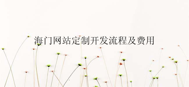 海门网站定制怎么开发？