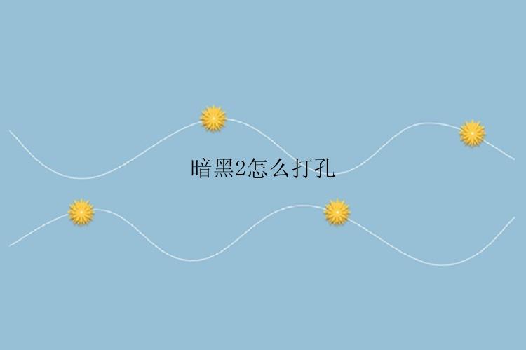 暗黑2如何打孔