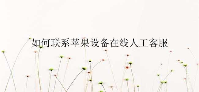 如何联系苹果设备在线人工客服
