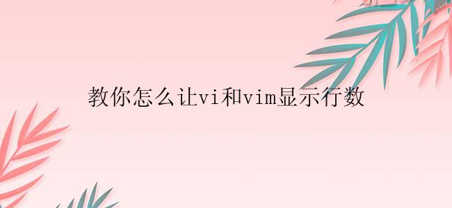 怎么让vi和vim显示行数？