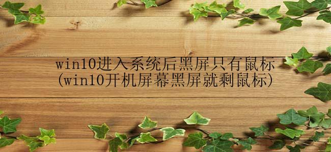 win10进入系统后黑屏只有鼠标(win10开机屏幕黑屏就剩鼠标)