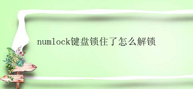 numlock键盘锁住了怎么解锁？
