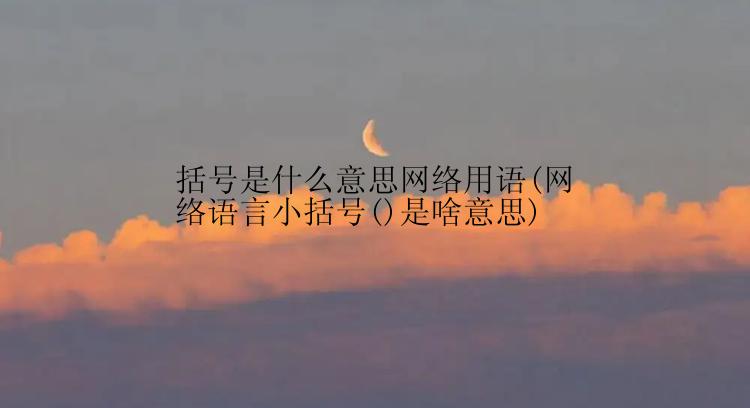 括号是什么意思网络用语(网络语言小括号()是啥意思)