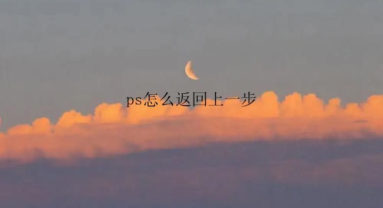 ps怎么返回上一步