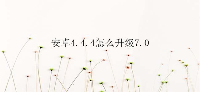 安卓4.4.4怎么升级7.0