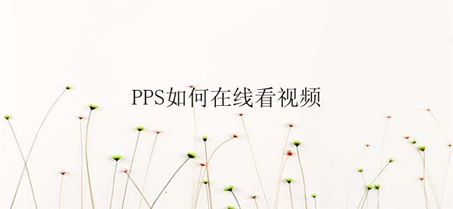 PPS如何在线看视频？