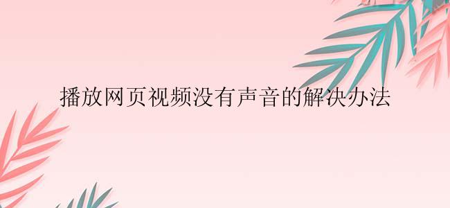 播放网页视频没有声音的解决办法