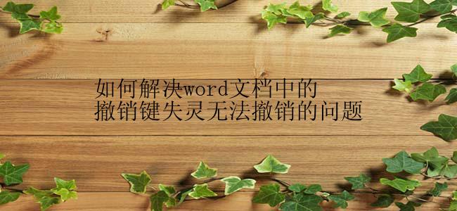 如何解决word文档中的撤销键失灵无法撤销的问题