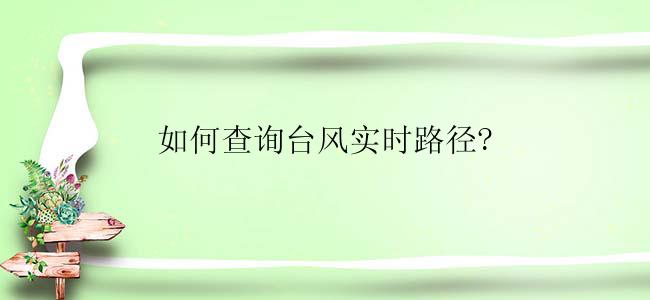 如何查询台风实时路径?