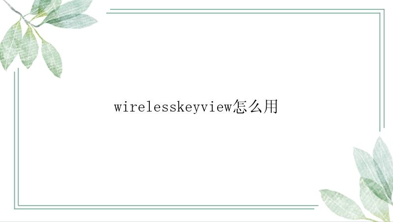 wirelesskeyview怎么用